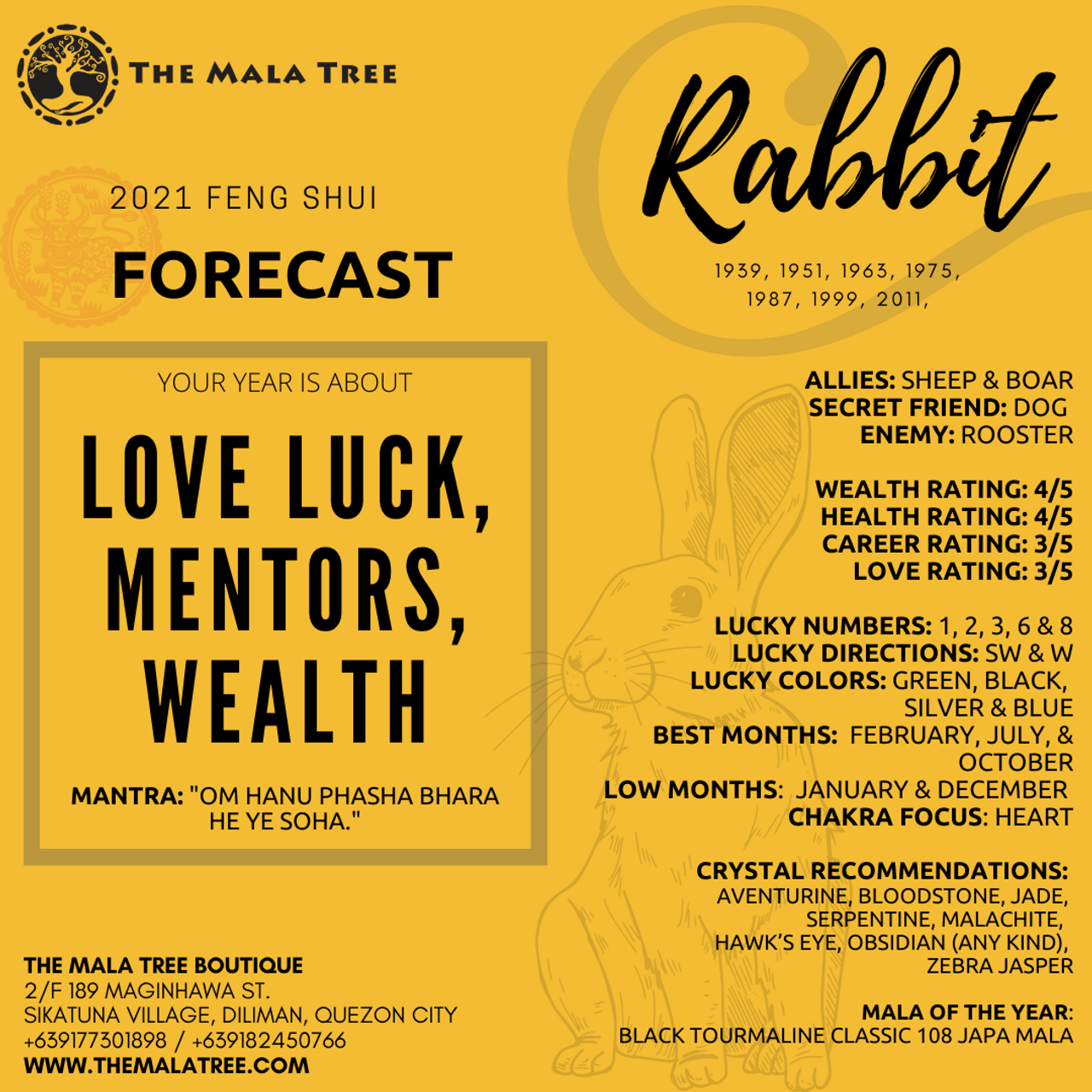 RABBIT in 2021 RABBIT in 2021